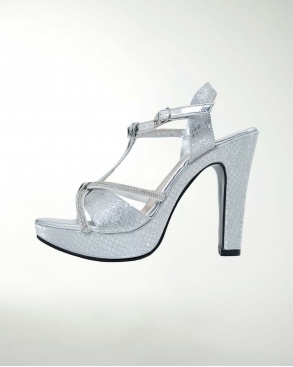 ZAPATO DE FIESTA